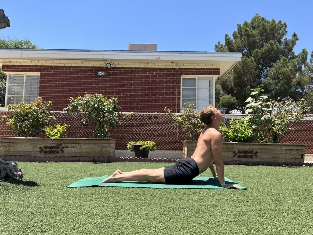 Cobra pose on the lawn
