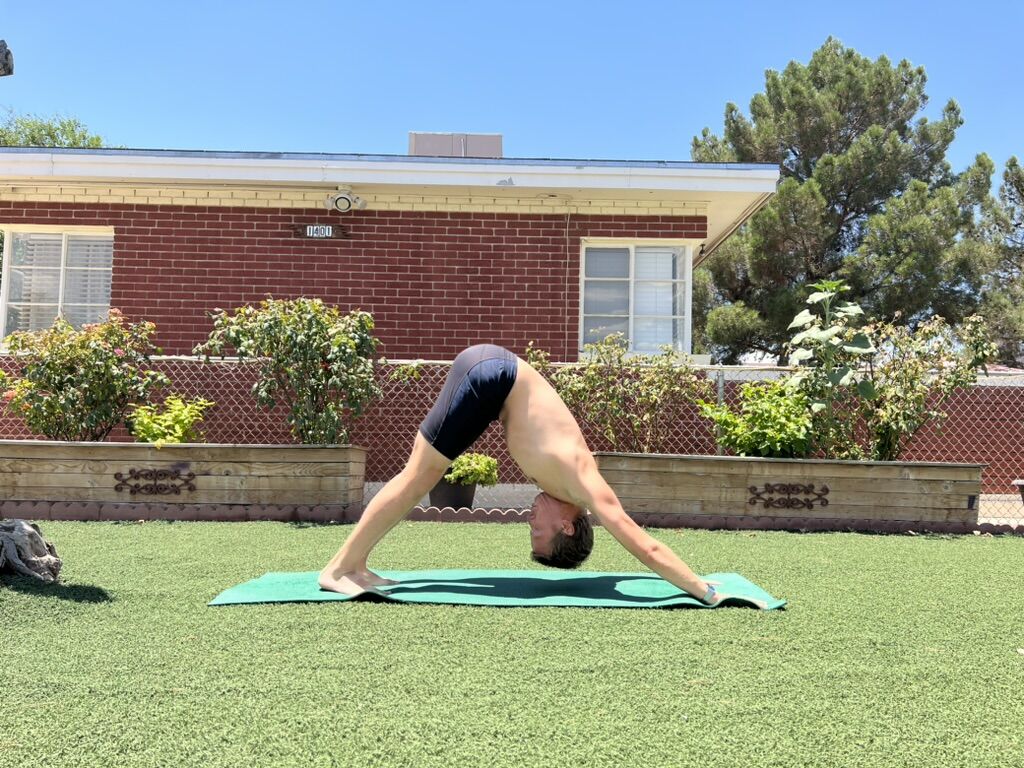 Downward-facing dog on the lawn